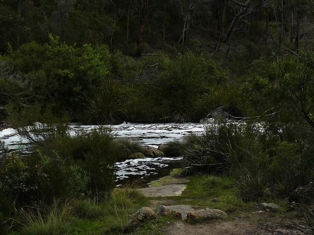 20080722 - Bream Fishing 10